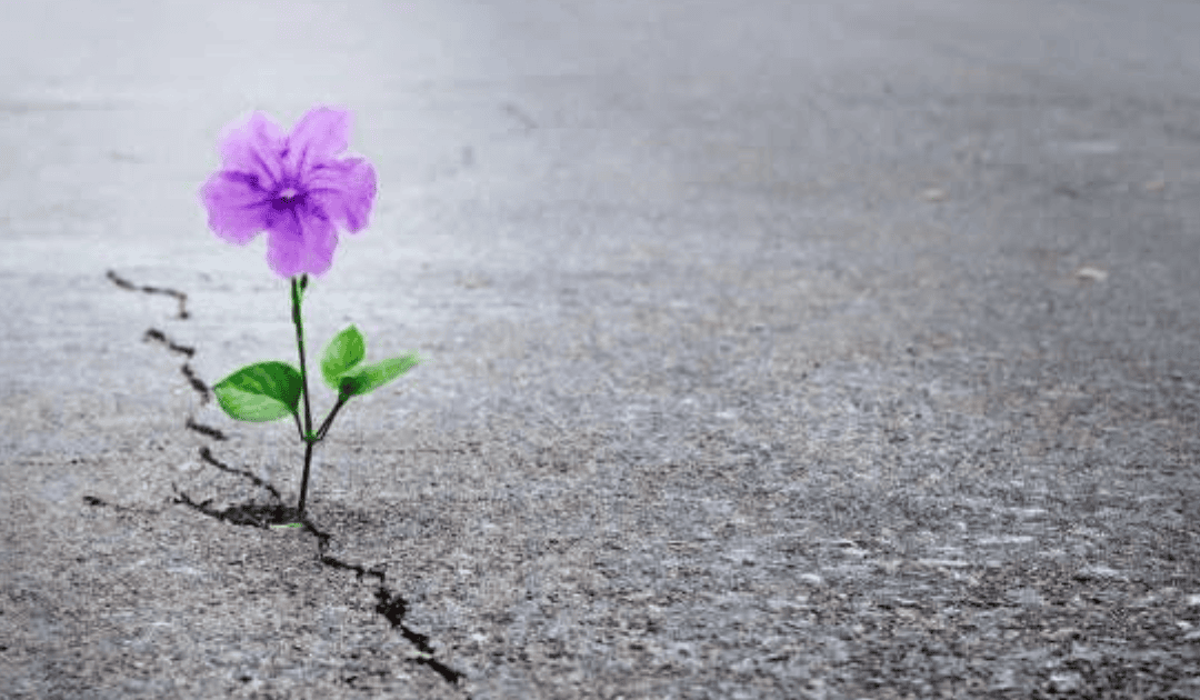 Shatter the Silence: Phil’s Domestic Violence Awareness Month Challenge